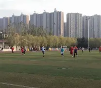 开云注册入口-绿茵豪门绿茵场